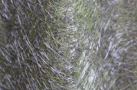 Helhoughton fibreglass roof work